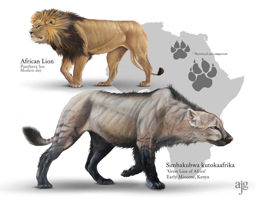 Симбакубва: что погубило африканского мегахищника, в три раза большего чем лев?