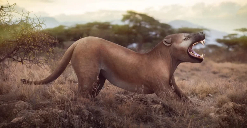 Симбакубва: что погубило африканского мегахищника, в три раза большего чем лев?