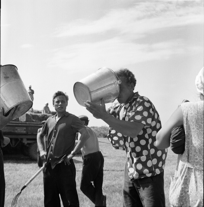 Июль 1972 года. Сенокос. Фото Вадима Опалина.