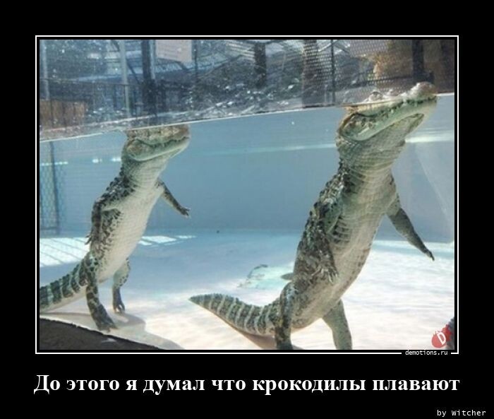 А я то думал, что крокодилы плавают