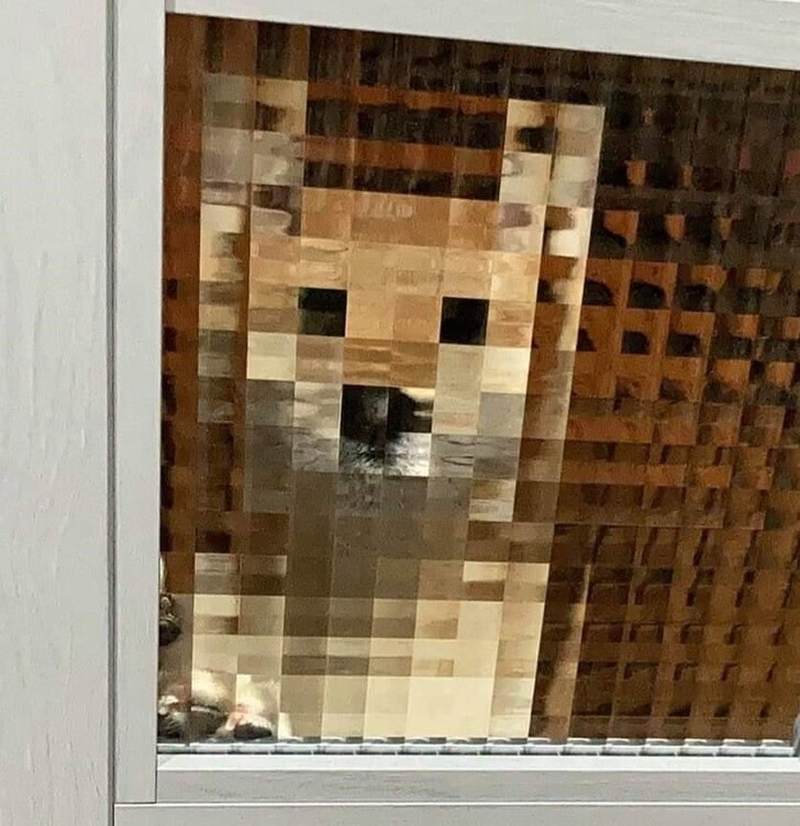 Собака пиксель фото