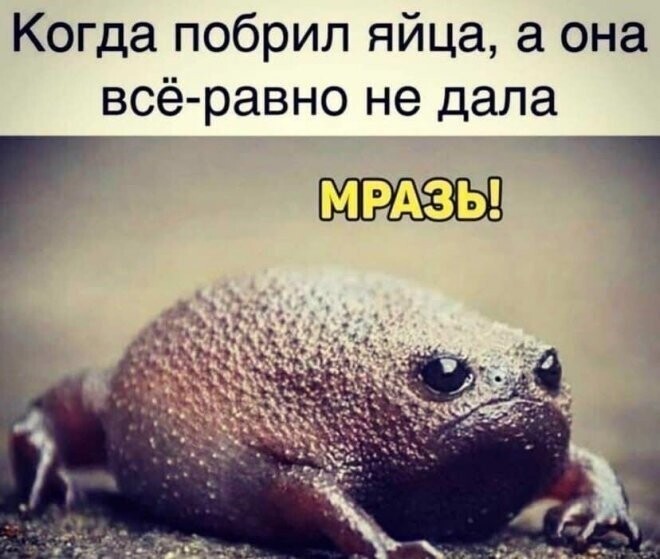 Не ищите здесь смысл. Здесь в основном маразм