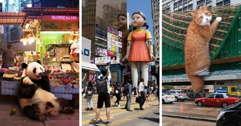Улицы Гонконга, фотошоп, котики и никакого мошенничества