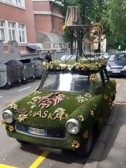 Автовсячина