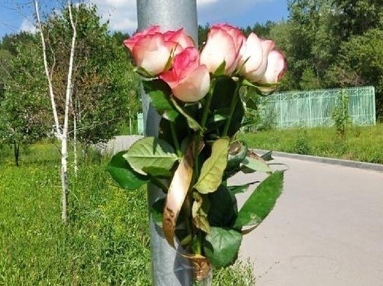 В Новосибирске приезжий из ревности зарезал 17-летнюю девушку