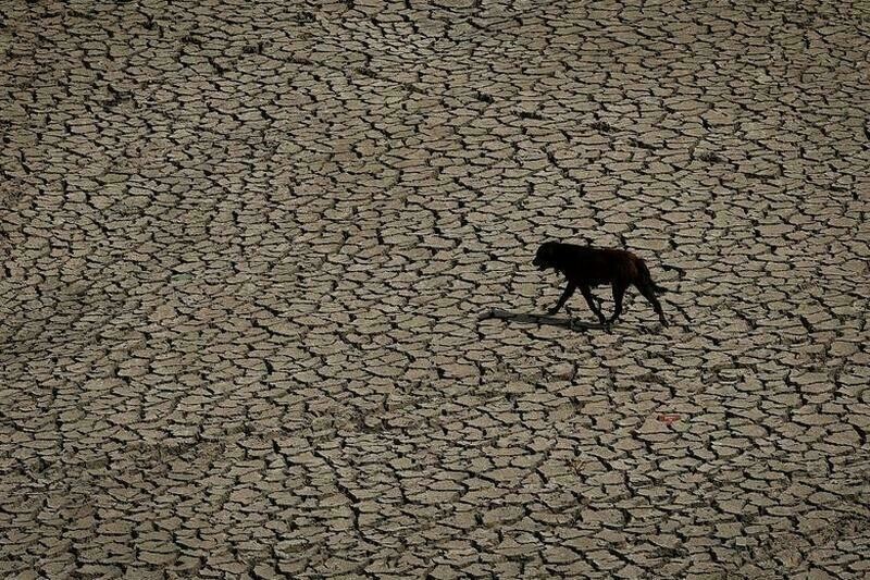 Где когда-то была вода: 17 фото засухи, которая захватила планету