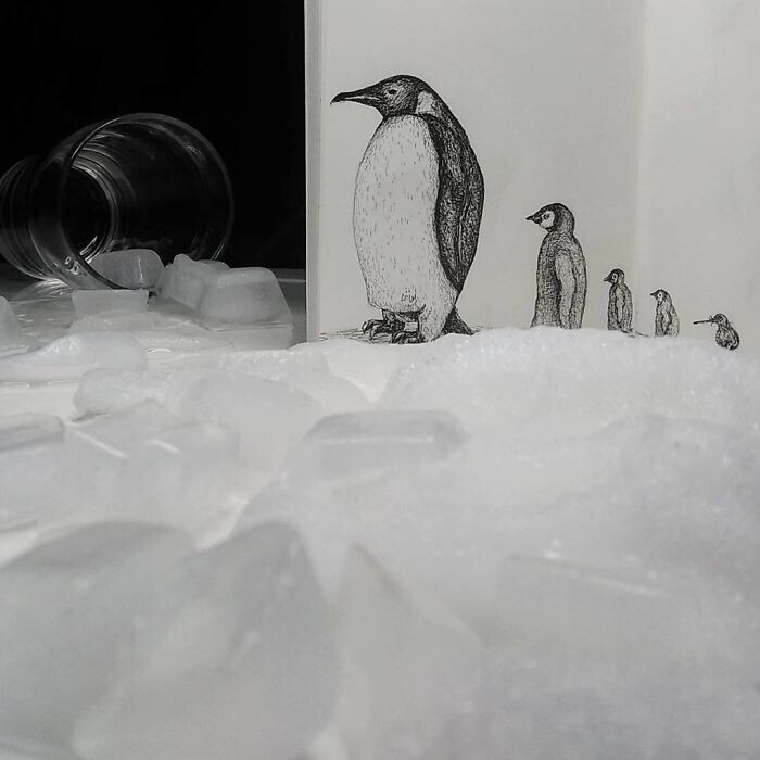 11. Пингвины