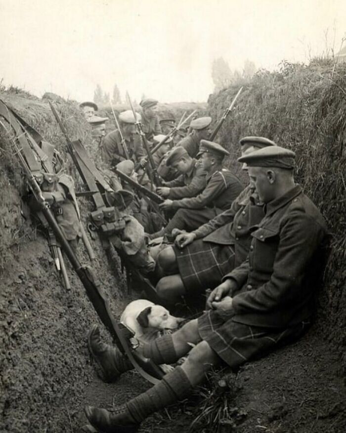 33. Сифортские горцы сидят в окопе с собакой во время Первой мировой войны, 1915 год