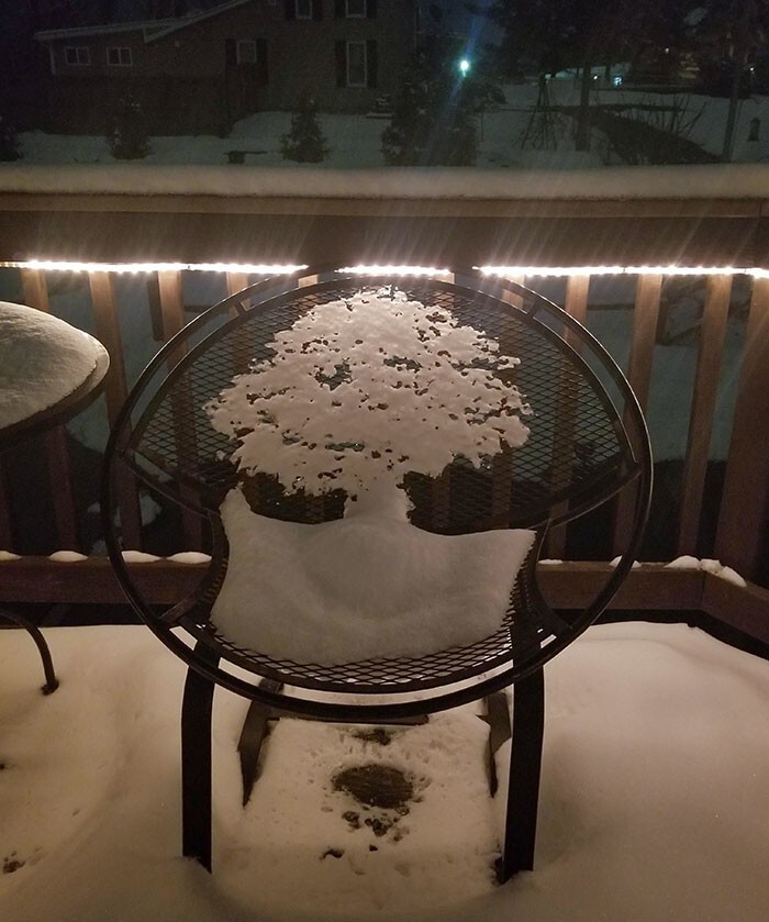 29. "Тающий снег на этом стуле выглядит как дерево"