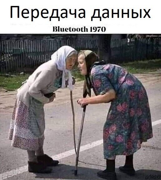 Прикольные и веселые картинки