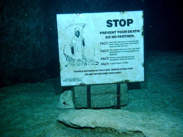 15 фотографий подводных объектов, которые станут настоящей неожиданностью для дайвера