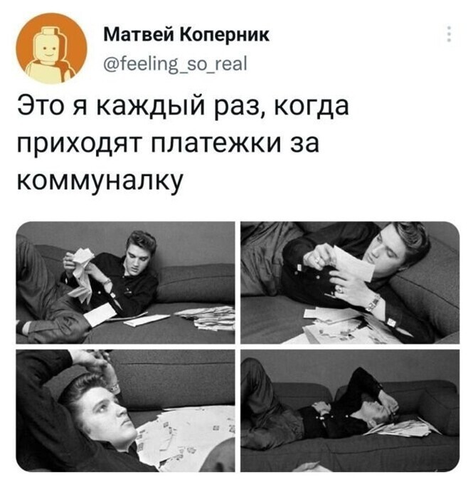 Смешные и познавательные картинки