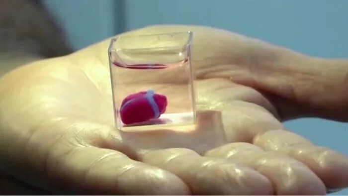 Первое в мире 3D-печатное сердце с кровеносными сосудами и клетками человека