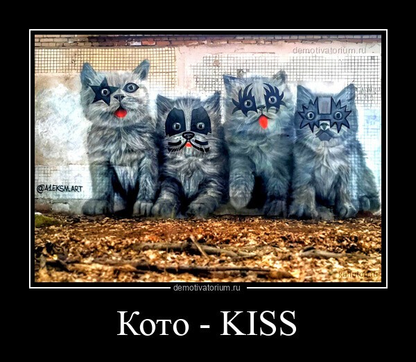 Кото - KISS