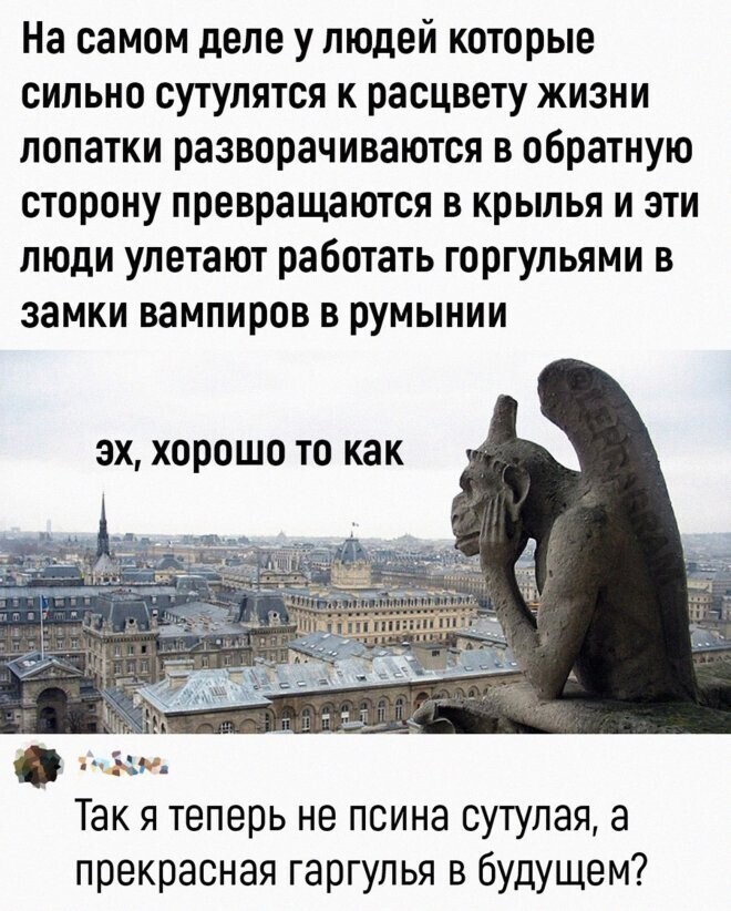 Скрины из соцсетей