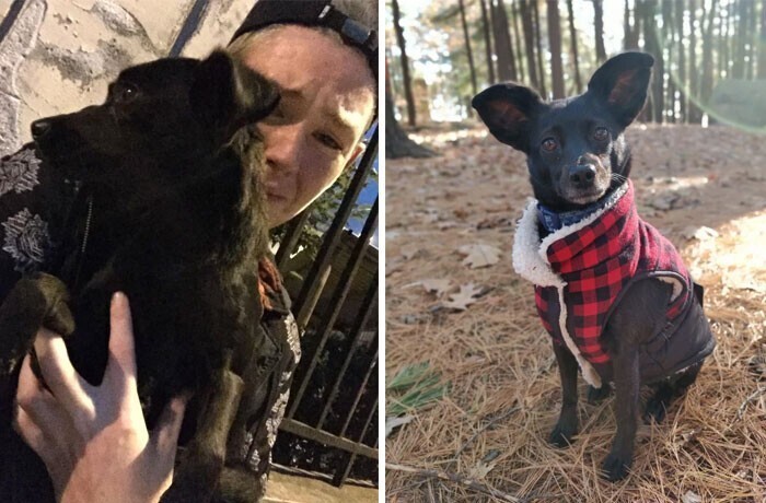 Девушка из США спасла эту собаку в Китае, а потом перевезла к себе