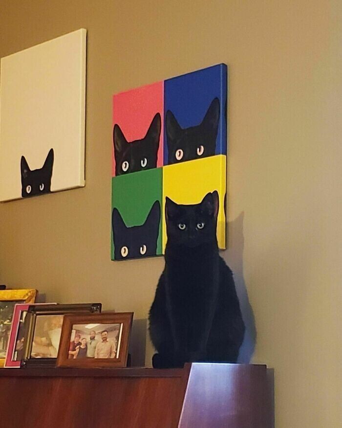 Кот знает толк в искусстве