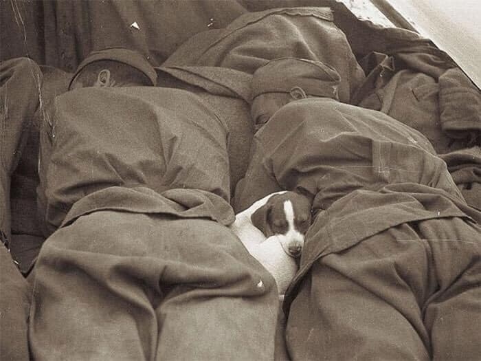 Солдаты и их маленький друг на отдыхе, 1943 год