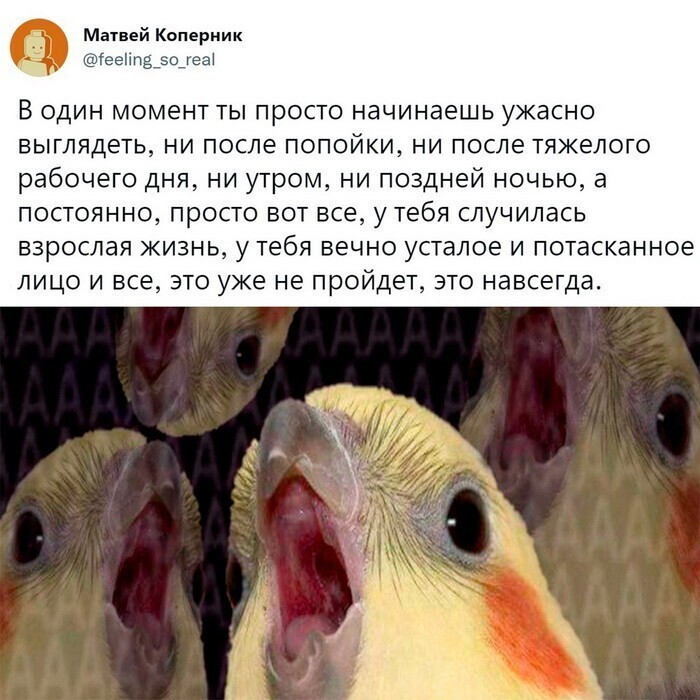 Скрины из соцсетей