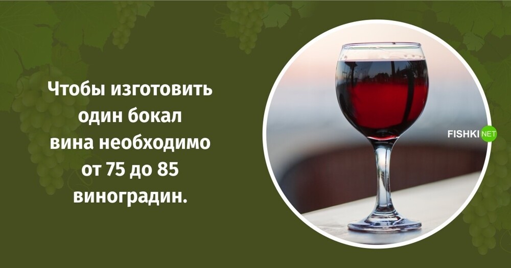 От костей до метилового спирта: факты о вине и винограде