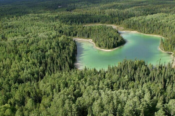 1. Канада до сих пор сохранила 91% лесов, существовавших до прибытия первых европейских поселенцев