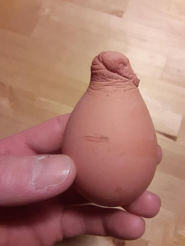 15 фотографий странных куриных яиц