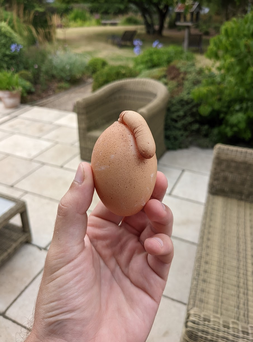 Яйцо с отростком