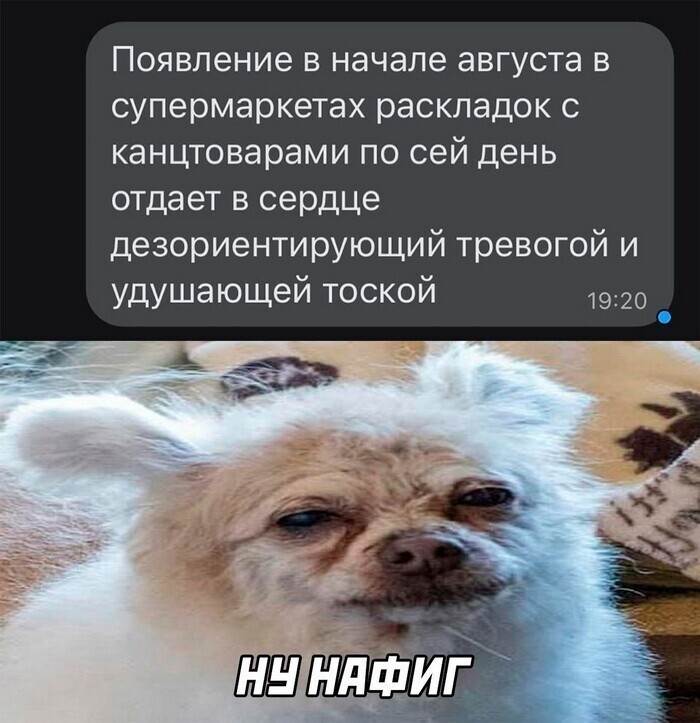 Скрины из соцсетей