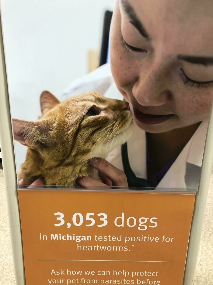 19. "У 3053 собак в Мичигане обнаружили сердечных червей"