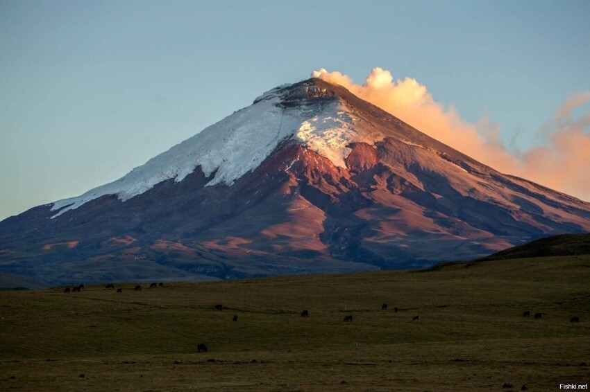 Котопа́хи — вторая по высоте вершина Эквадора (после Чимборасо) и самый высок...