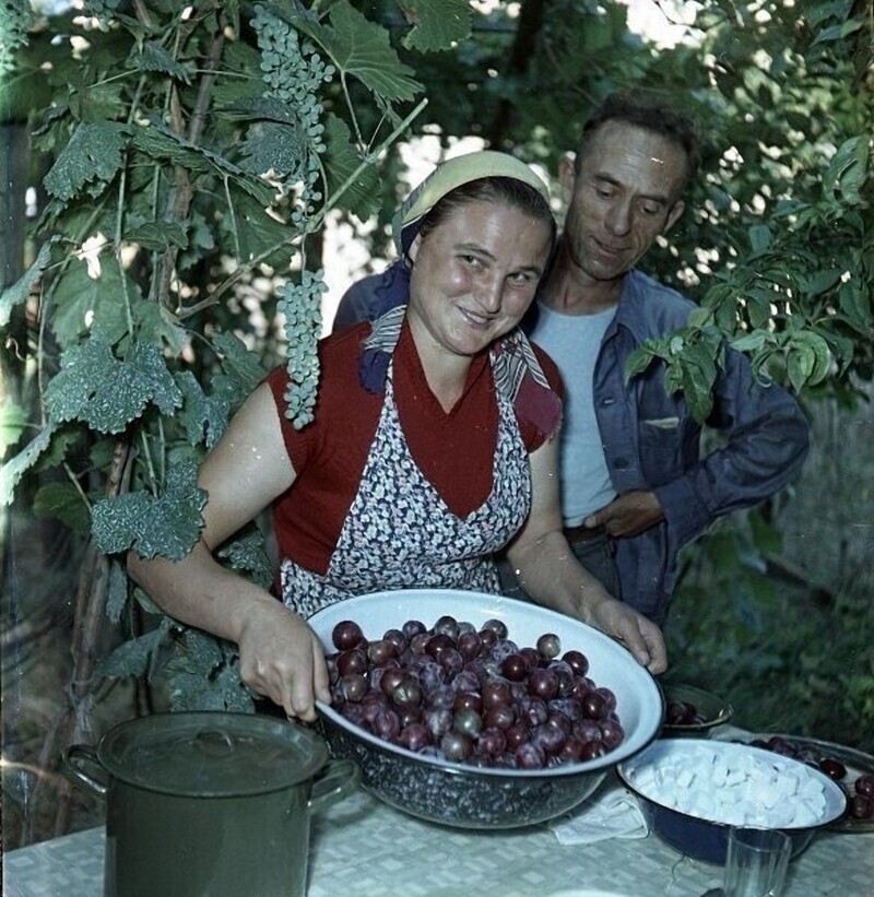 Вах! Снимки Грузии в эпоху, когда она была республикой СССР