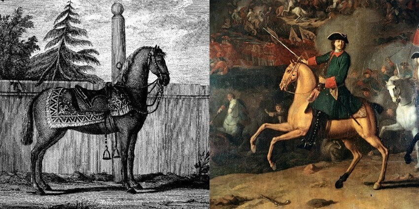 Лизетта: конь для императора