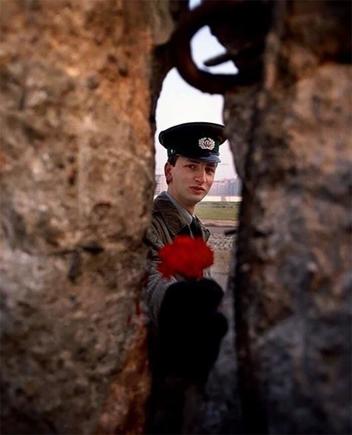 3. Пограничник Восточной Германии протягивает цветок через брешь в Берлинской стене утром в день ее падения, 1989 год