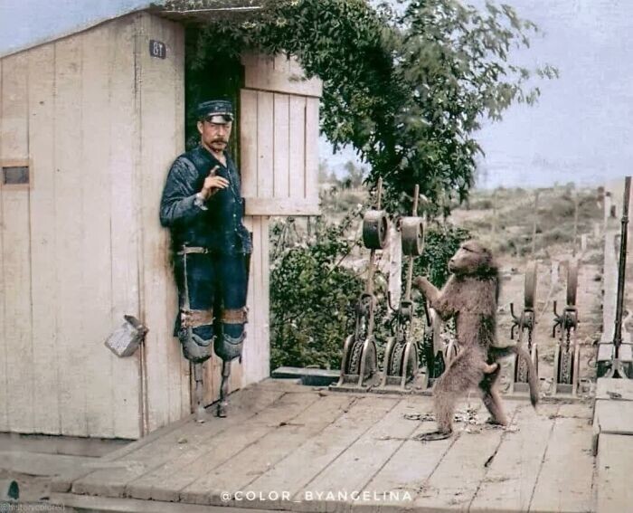 9. Железнодорожный связист с ампутированными ногами Джеймс Уайд работает вместе со своим питомцем и помощником бабуином Джеком в Кейптауне, 1880-е годы