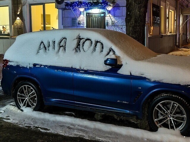 Автовсячина