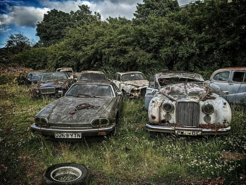 12 фото с кладбища старых роскошных авто, которое обнаружили в Шотландии