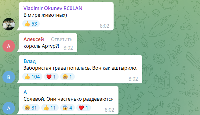 «Меня зовут Артур! Я буду вашим королём!»: под Питером голый неадекват ворвался в магазин и устроил погром