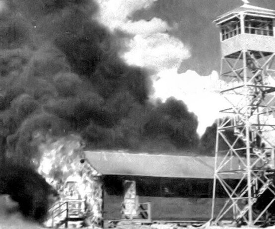 Военная смекалка с огоньком: как хотели уничтожить Японию с помощью «мышиных бомб»