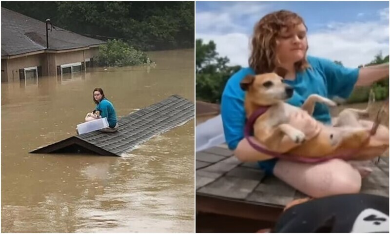 17-летняя девушка геройски спасла собаку, когда дом затопило