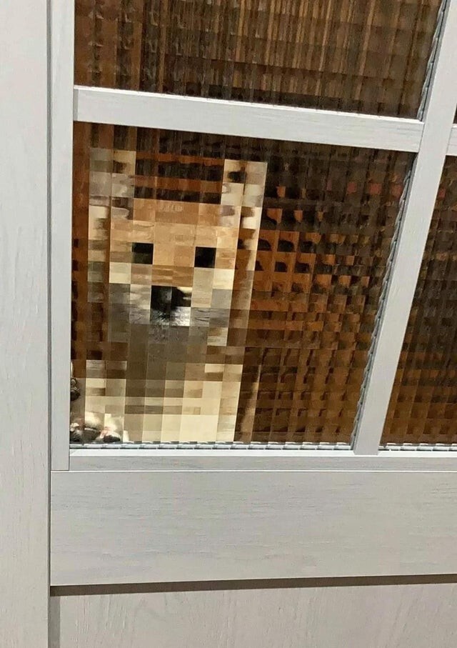 Сквозь эту дверь все пиксельное
