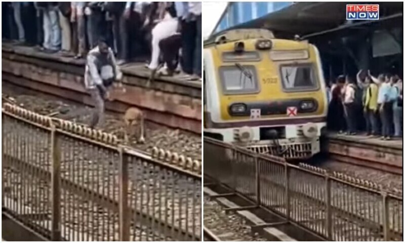 Индус спас собаку, которая чуть не попала под поезд