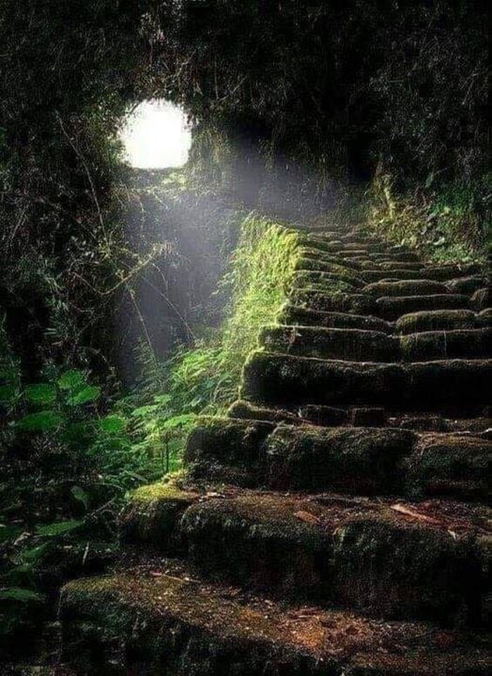 2. Лестница в небо. Древняя тропа инков, ведущая к Мачу-Пикчу в Перу