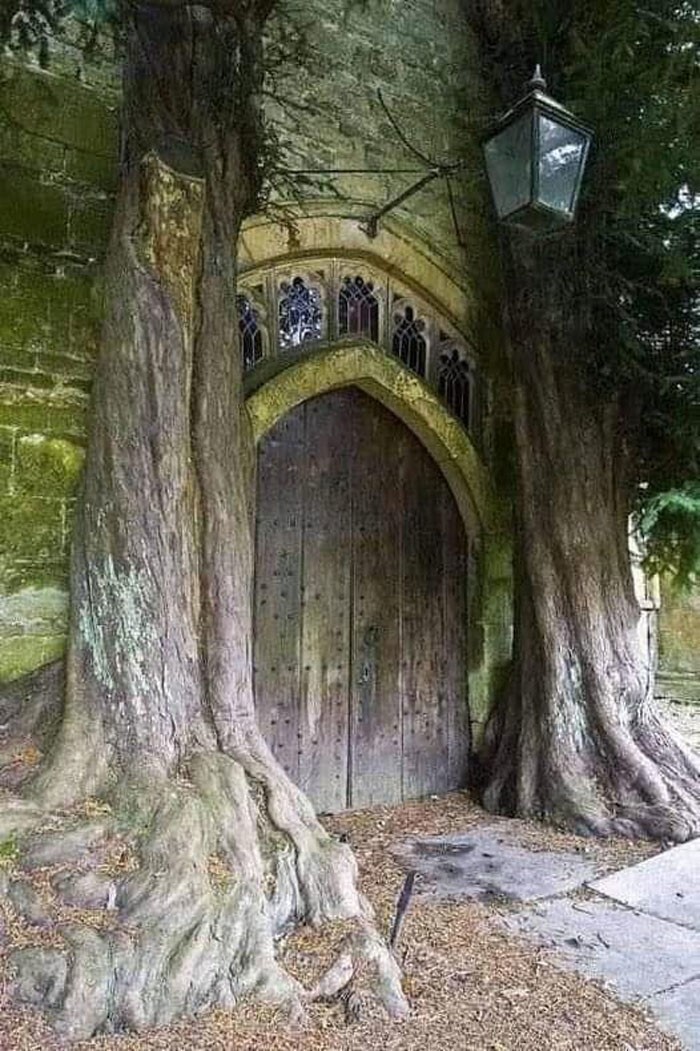 7. Обрамленная деревьями дверь этого средневекового святилища выглядит как портал в волшебное царство. Церковь Святого Эдуарда, Стоу-он-Уолд, Англия