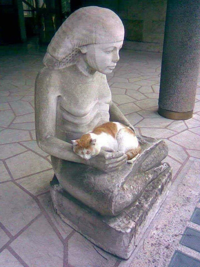 Несколько случаев, когда котики стали украшением статуй