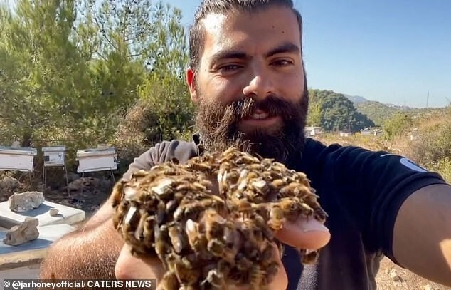 Невозмутимый ливанец позволяет сотням пчел ползать по своей бороде