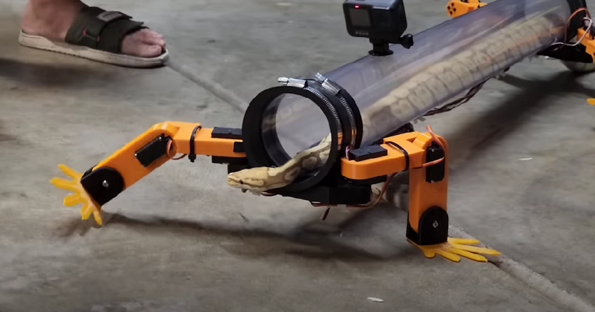 Инженер изобрел четвероногого робота, который позволяет змеям «ходить»