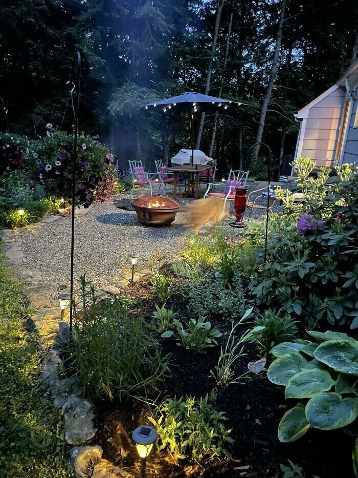 20+ любопытных фото из садов и огородов