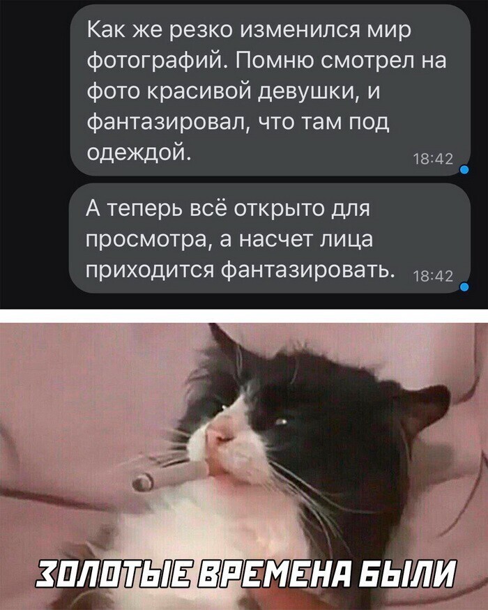 Скрины из соцсетей