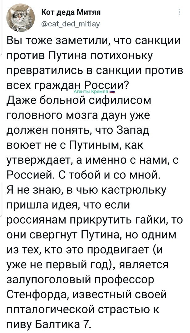 Думаю, одним пивом там не обходится. Так бредить можно только под чем-то тяжёлым