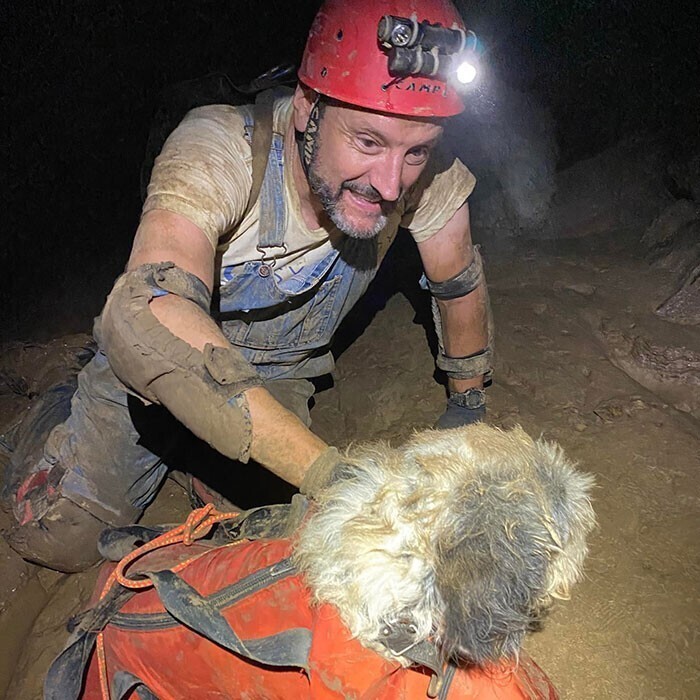 В пещерах обнаружили слабую собаку, которая едва двигалась